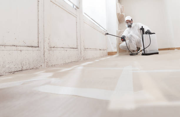 24/7 Emergency Mold Remediation experts in Marysville, MI