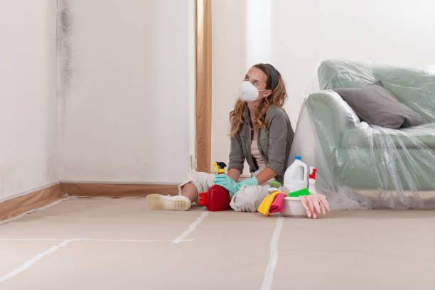 Reliable Mold Remediation contractor in Marysville, MI by Mold Remediation HQ